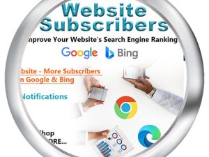 Website SEO Subscribers 500