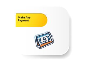 Make Any Payment